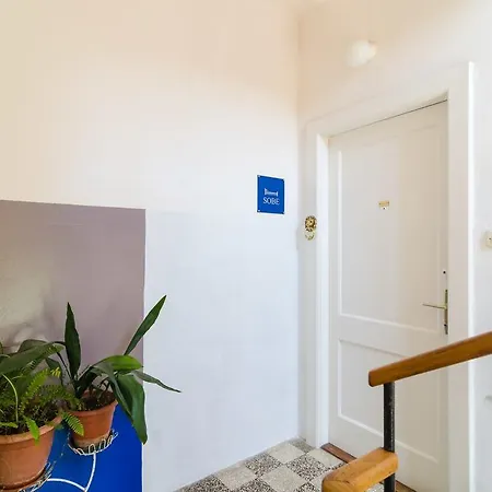 Guest house Ivo 1 3*